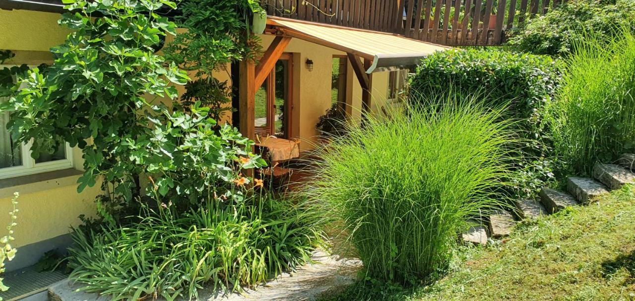 Paradies 2 Castellberg-Jakobsweg Ballrechten-Dottingen ภายนอก รูปภาพ