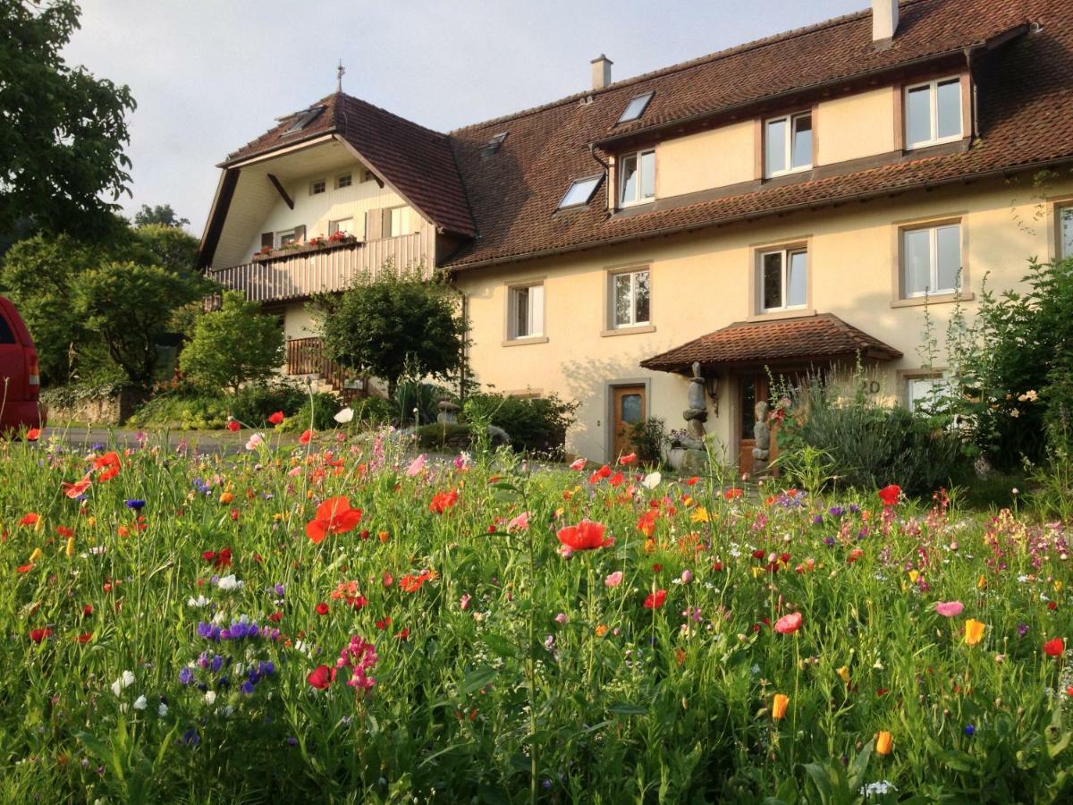 Paradies 2 Castellberg-Jakobsweg Ballrechten-Dottingen ภายนอก รูปภาพ