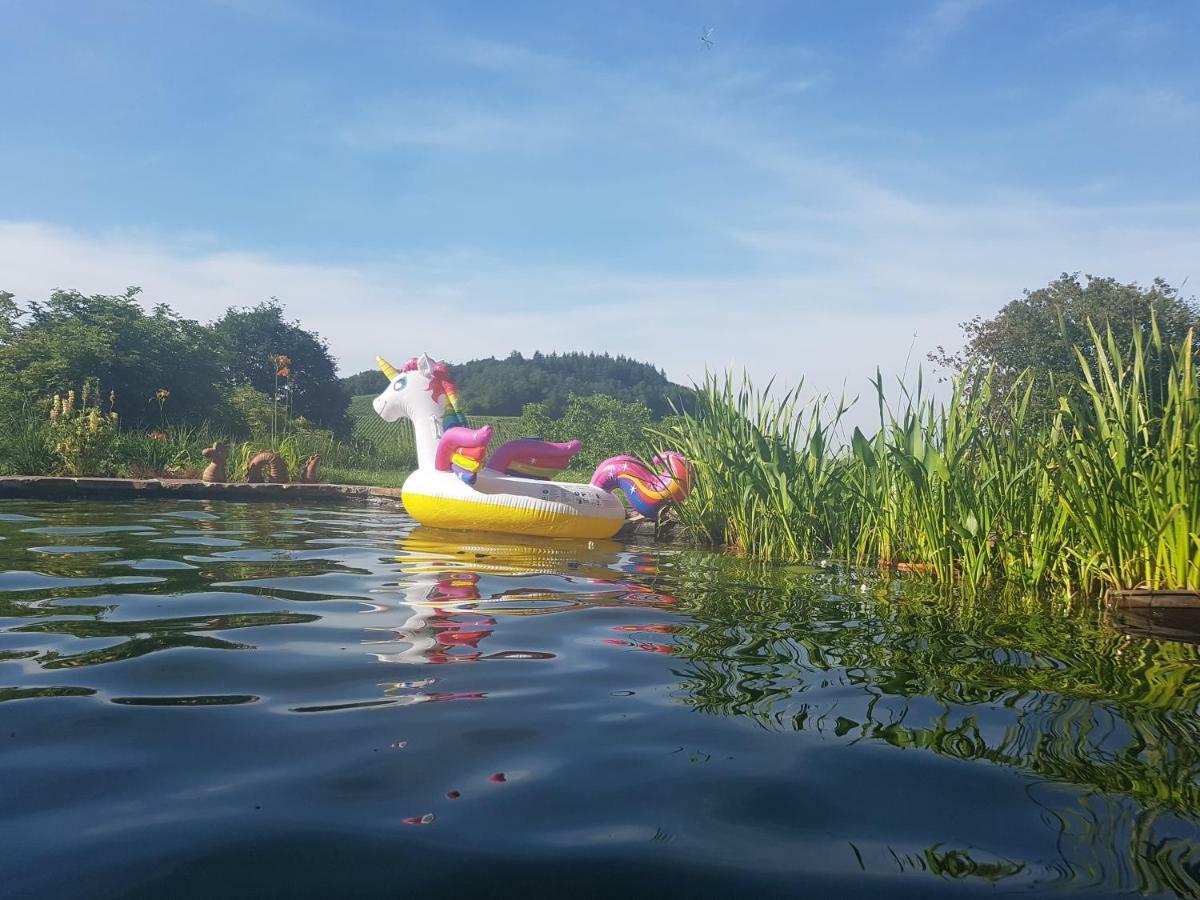 Paradies 2 Castellberg-Jakobsweg Ballrechten-Dottingen ภายนอก รูปภาพ